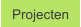 Projecten
