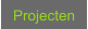 Projecten