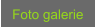 Foto galerie